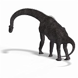 Brachiosaurus 12 A_0001